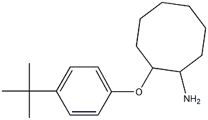 2-(4-tert-butylphenoxy)cyclooctan-1-amine