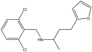 [(2,6-dichlorophenyl)methyl][4-(furan-2-yl)butan-2-yl]amine