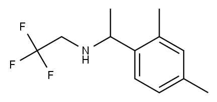 [1-(2,4-dimethylphenyl)ethyl](2,2,2-trifluoroethyl)amine