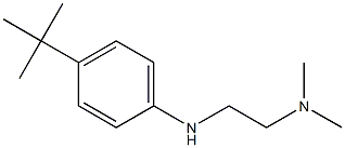 {2-[(4-tert-butylphenyl)amino]ethyl}dimethylamine