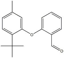 2-(2-tert-butyl-5-methylphenoxy)benzaldehyde Structure