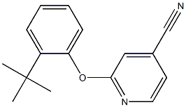 2-(2-tert-butylphenoxy)pyridine-4-carbonitrile