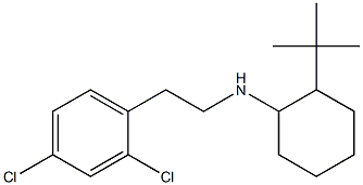 2-tert-butyl-N-[2-(2,4-dichlorophenyl)ethyl]cyclohexan-1-amine