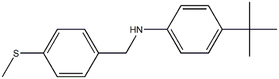 4-tert-butyl-N-{[4-(methylsulfanyl)phenyl]methyl}aniline