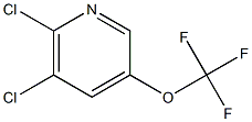 5,6-Dichloro-3-(trifluoromethoxy)pyridine