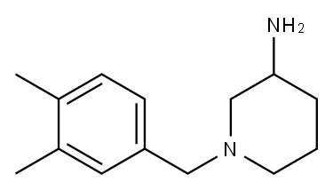 1-(3,4-dimethylbenzyl)piperidin-3-amine
