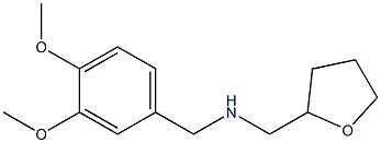 [(3,4-dimethoxyphenyl)methyl](oxolan-2-ylmethyl)amine|