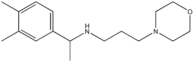 [1-(3,4-dimethylphenyl)ethyl][3-(morpholin-4-yl)propyl]amine