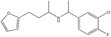 [1-(3-chloro-4-fluorophenyl)ethyl][4-(furan-2-yl)butan-2-yl]amine