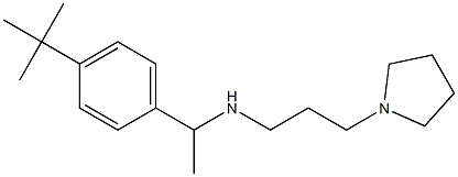 [1-(4-tert-butylphenyl)ethyl][3-(pyrrolidin-1-yl)propyl]amine|