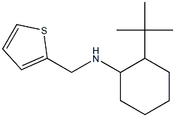 2-tert-butyl-N-(thiophen-2-ylmethyl)cyclohexan-1-amine