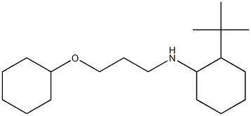 2-tert-butyl-N-[3-(cyclohexyloxy)propyl]cyclohexan-1-amine Structure
