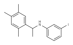 3-iodo-N-[1-(2,4,5-trimethylphenyl)ethyl]aniline