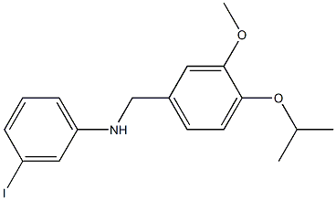 3-iodo-N-{[3-methoxy-4-(propan-2-yloxy)phenyl]methyl}aniline