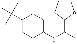 4-tert-butyl-N-[1-(oxolan-2-yl)ethyl]cyclohexan-1-amine
