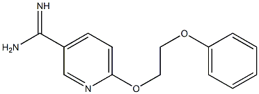 6-(2-phenoxyethoxy)pyridine-3-carboximidamide