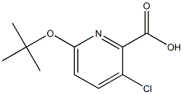 6-(tert-butoxy)-3-chloropyridine-2-carboxylic acid