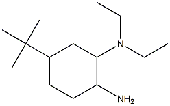 N-(2-amino-5-tert-butylcyclohexyl)-N,N-diethylamine