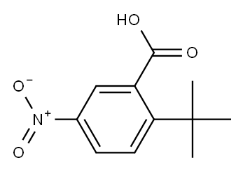 2-tert-butyl-5-nitrobenzoic acid