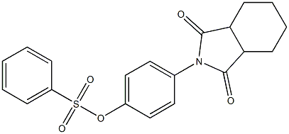 4-(1,3-dioxooctahydro-2H-isoindol-2-yl)phenyl benzenesulfonate