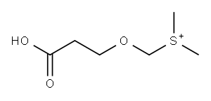 [(2-カルボキシエトキシ)メチル]ジメチルスルホニウム 化学構造式