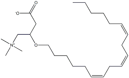 gamma-linolenyl carnitine