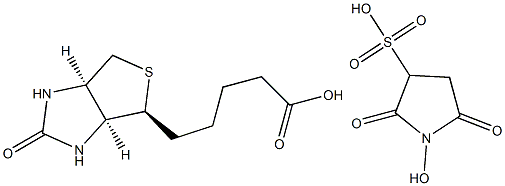 sulfo-N-hydroxysuccinimide-biotin