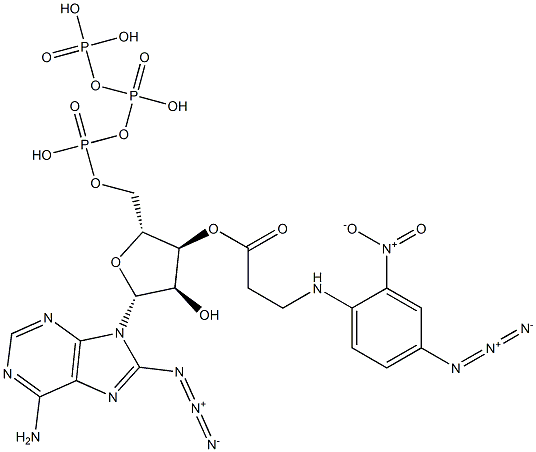 3'(O)-(3-(N-(4-azido-2-nitrophenyl)amino)propionyl)-8-azidoadenosine 5'-triphosphate