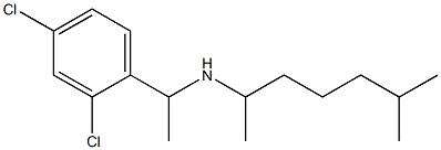 [1-(2,4-dichlorophenyl)ethyl](6-methylheptan-2-yl)amine