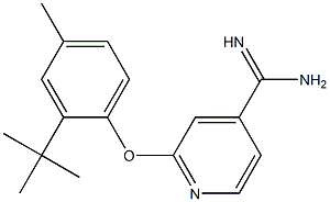 2-(2-tert-butyl-4-methylphenoxy)pyridine-4-carboximidamide
