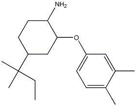 2-(3,4-dimethylphenoxy)-4-(2-methylbutan-2-yl)cyclohexan-1-amine