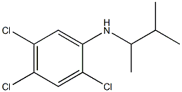 2,4,5-trichloro-N-(3-methylbutan-2-yl)aniline