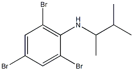 2,4,6-tribromo-N-(3-methylbutan-2-yl)aniline