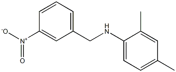 2,4-dimethyl-N-[(3-nitrophenyl)methyl]aniline