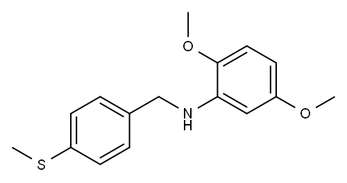 2,5-dimethoxy-N-{[4-(methylsulfanyl)phenyl]methyl}aniline