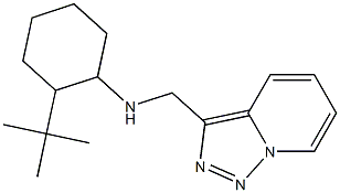 2-tert-butyl-N-{[1,2,4]triazolo[3,4-a]pyridin-3-ylmethyl}cyclohexan-1-amine