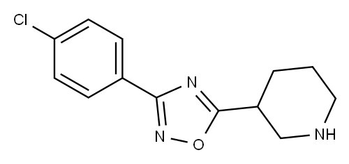 3-(4-chlorophenyl)-5-(piperidin-3-yl)-1,2,4-oxadiazole