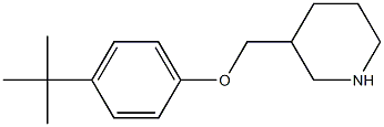 3-(4-tert-butylphenoxymethyl)piperidine