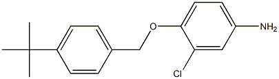 4-[(4-tert-butylphenyl)methoxy]-3-chloroaniline Struktur
