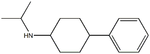 4-phenyl-N-(propan-2-yl)cyclohexan-1-amine