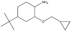 4-tert-butyl-2-(cyclopropylmethoxy)cyclohexan-1-amine