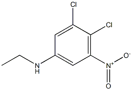 N-エチル-3,4-ジクロロ-5-ニトロアニリン 化学構造式