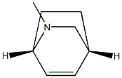 (1R,4S)-8-Methyl-8-azabicyclo[2.2.2]oct-2-ene