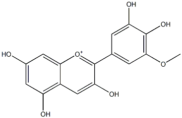 3,3',4',5,7-ペンタヒドロキシ-5'-メトキシフラビリウム 化学構造式