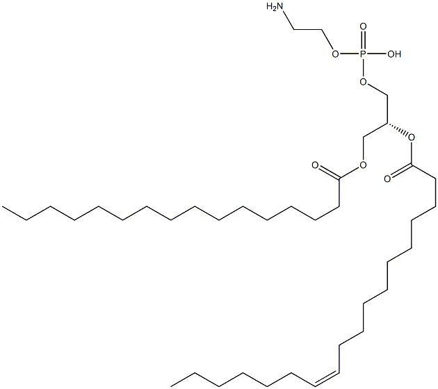1-hexadecanoyl-2-(11Z-octadecenoyl)-sn-glycero-3-phosphoethanolamine