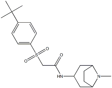 2-{[4-(tert-butyl)phenyl]sulfonyl}-N-(8-methyl-8-azabicyclo[3.2.1]oct-3-yl)acetamide