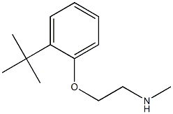 [2-(2-tert-butylphenoxy)ethyl](methyl)amine