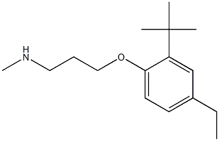 [3-(2-tert-butyl-4-ethylphenoxy)propyl](methyl)amine
