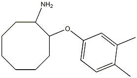 2-(3,4-dimethylphenoxy)cyclooctan-1-amine