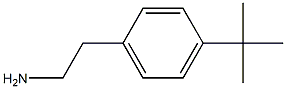 2-(4-tert-butylphenyl)ethan-1-amine
